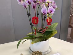 -上海永达奥诚奥迪4S店(申江路店)