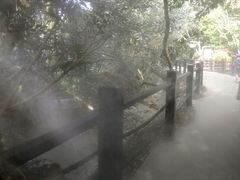 -呀诺达热带雨林