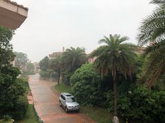 -圣爵菲斯大酒店(长沙世界之窗店)