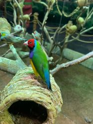 -Zoolung Zoolung动物主题公园(海信广场店)