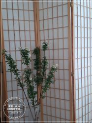 -宥莉·ULLY 痘敏肌•科技皮肤管理中心