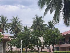 -东郊椰林