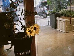 -Seeking Coffee咖啡(新竹路店)