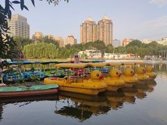 -团结湖公园