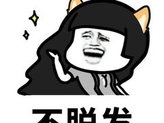 -纳吉亚猫专科动物医院·北北分院
