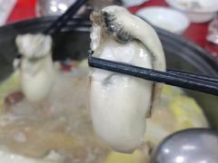-花苑美食横琴生蚝火锅(拱北粤华路店)