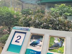-九龙公园