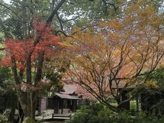 -中国茶叶博物馆(双峰馆区)