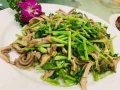 芫爆肚丝-燕风楼烤鸭店(建设总店)