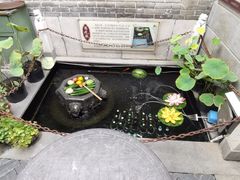 -燕喜堂·中华老字号(大明湖店)
