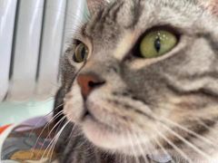 -纳吉亚猫专科动物医院博雅分院
