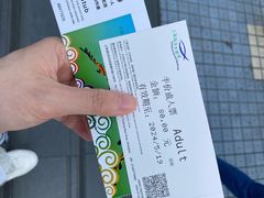 -上海海洋水族馆