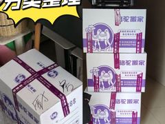 -骆驼日式搬家收纳整理