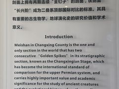 -金钉子远古世界景区