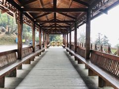 -广州市帽峰山景区