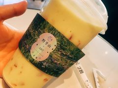 -野萃山·潮汕厚果汁(十亩地店)