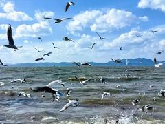 -捞渔河湿地公园