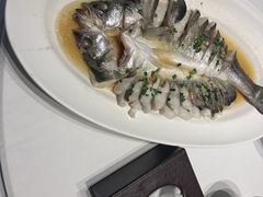 -同庆楼(花园店)