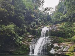 -碧峰峡风景区