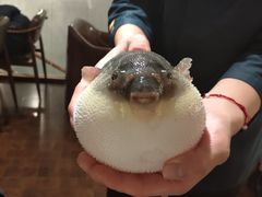-肆月河豚·新淮扬(金融街店)