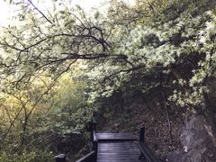 -白塘生态植物园