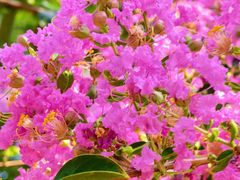 -杭州城北体育公园