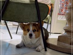 -艾蜜西餐厅(梅园店)