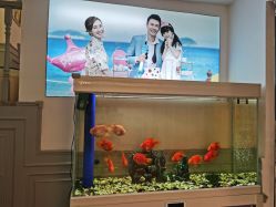 点击看大图 -非常六加一儿童摄影(同安店)