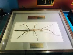 -上海昆虫博物馆