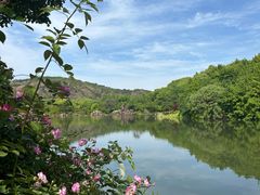 -白马涧龙池景区
