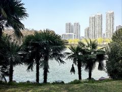 -汉水公园