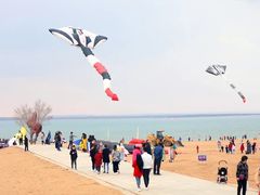 -红碱淖景区