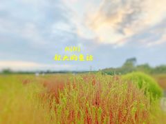 -映月湖中央公园