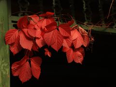 -卧龙堡客栈·中餐厅(古北水镇店)