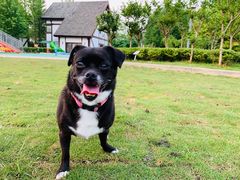 -太阳岛度假酒店