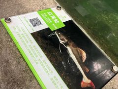 -青青世界