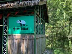 -都江堰中华大熊猫苑