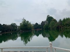-蝴蝶泉公园