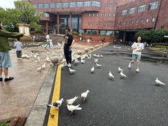 -上海交通大学(闵行校区)