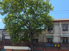-中关村茶点
