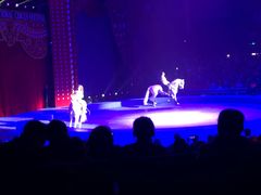 -珠海横琴长隆《卡卡虎奇遇记》