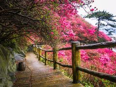 -木兰云雾山