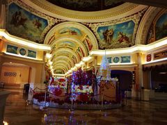 长寿碧桂园凤凰酒店-重庆长寿碧桂园凤悦凤凰酒店