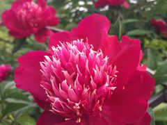 -常熟理文铂尔曼酒店