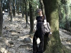 -火炉山森林公园