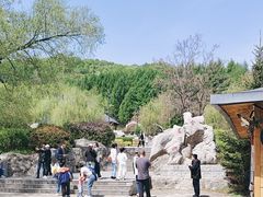 -官马溶洞