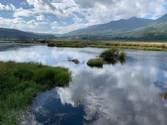 -腾冲北海湿地
