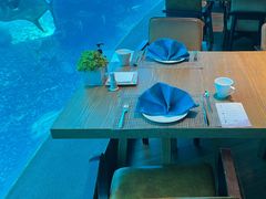 -涛·海底餐厅·美人鱼·自助餐·海底隧道(三亚海棠湾洲际度假酒店)