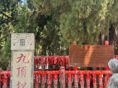 -四门塔风景区