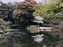 -楼外楼(玉泉店)